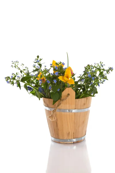 Strauß von Frühlingsblumen — Stockfoto