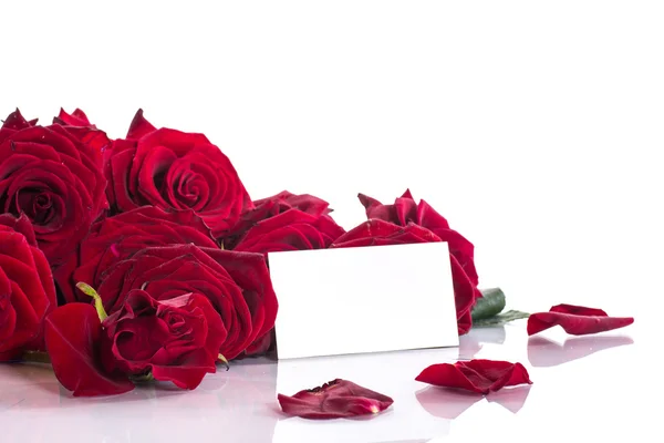 Schöne Rosen mit einem Rohling — Stockfoto