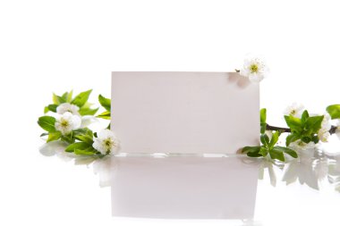 bahar çiçekleri, meyve ağaçları