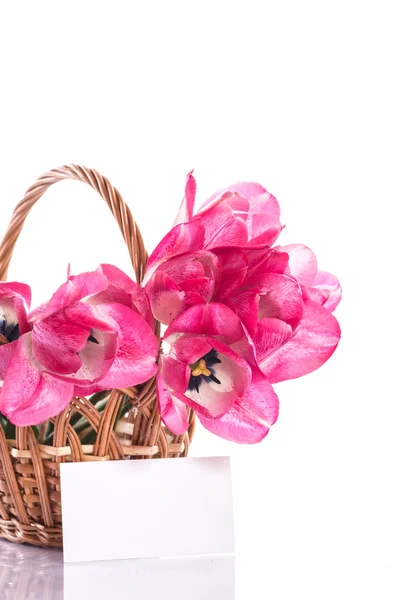 Pink tulips in a basket — Stock Photo, Image
