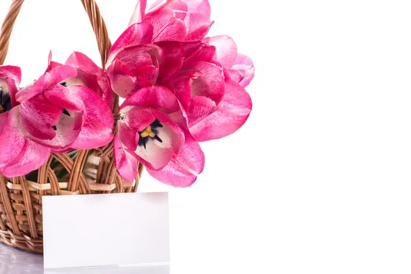 Roze tulpen in een mand — Stockfoto