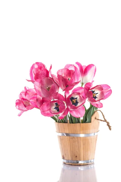 Pink tulips in a wooden bucket — Stock Photo, Image