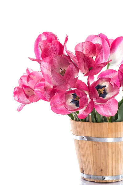 Pink tulips in a wooden bucket — Stock Photo, Image