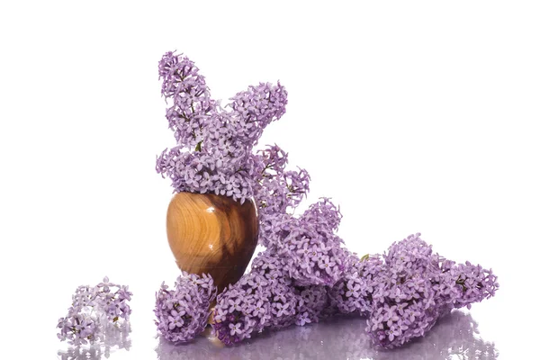 Piękny liliowy w wazon drewniany — Zdjęcie stockowe
