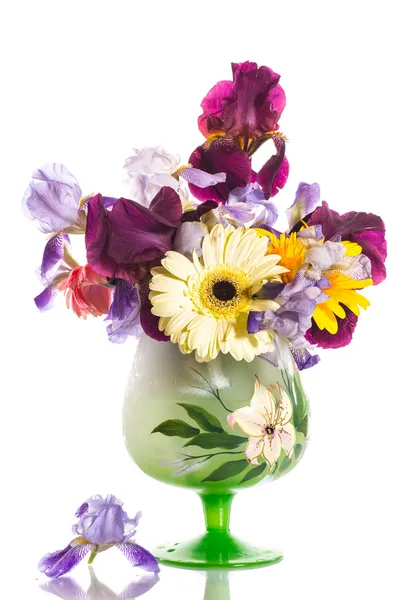 Beautiful blue irises — Stock Photo, Image
