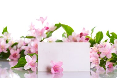 Weigel güzel çiçek açan çiçekler