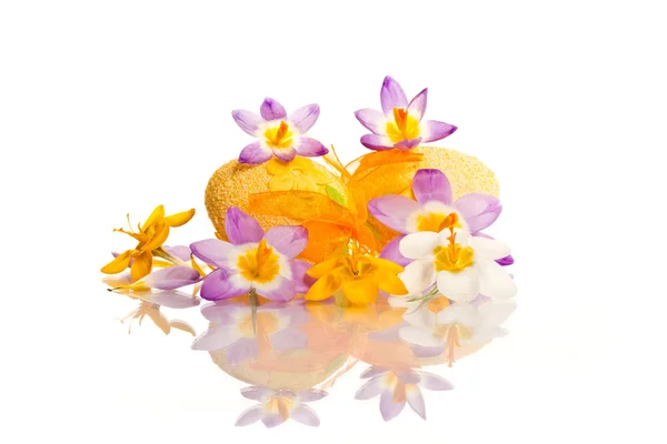 Easter eggs with crocuses — Stock Photo, Image