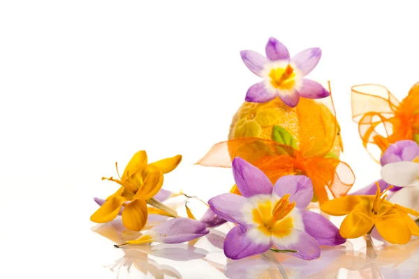 Easter eggs with crocuses — Stock Photo, Image