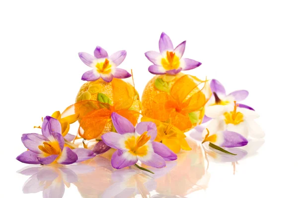 Easter eggs with crocuses — Stock Photo, Image