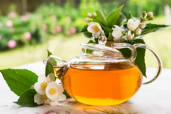 Pachnące herbata jaśminowa — Zdjęcie stockowe