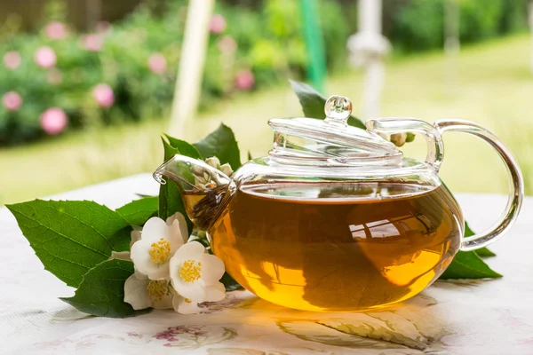 Fragrant jasmine tea — Stock Photo, Image
