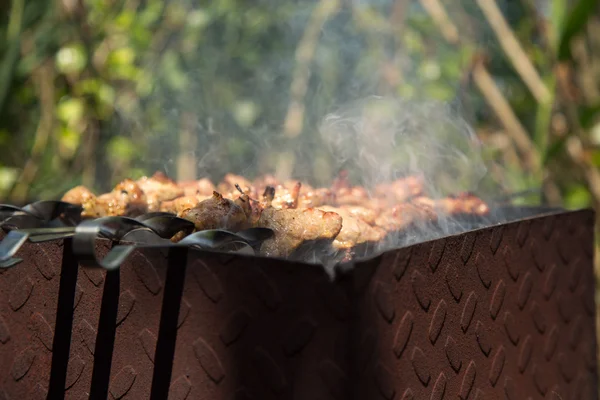 A carne é assada na grelha — Fotografia de Stock