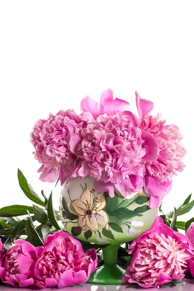 Pink peonies — Stock Photo, Image
