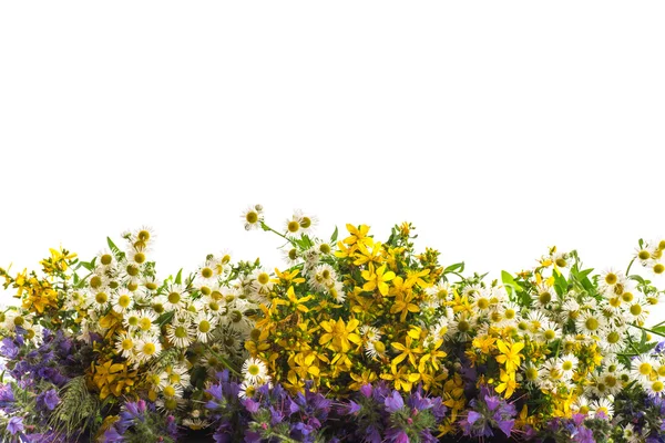 Bukiet kwiatów letnich — Zdjęcie stockowe