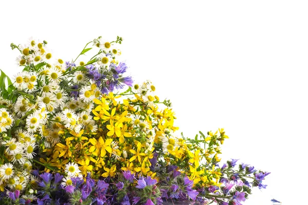 Μπουκέτο με λουλούδια το καλοκαίρι — Φωτογραφία Αρχείου