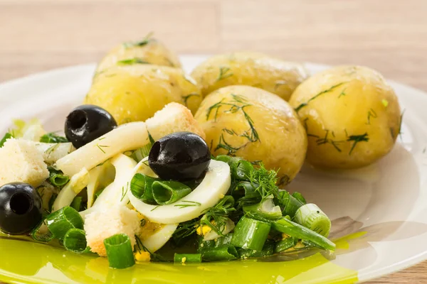 Yeşil soğan ve kalamar salatası — Stok fotoğraf