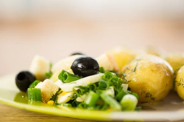 Grüner Salat mit Zwiebeln und Tintenfisch — Stockfoto