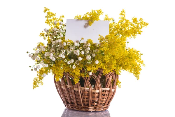 Bouquet estivo di fiori selvatici — Foto Stock