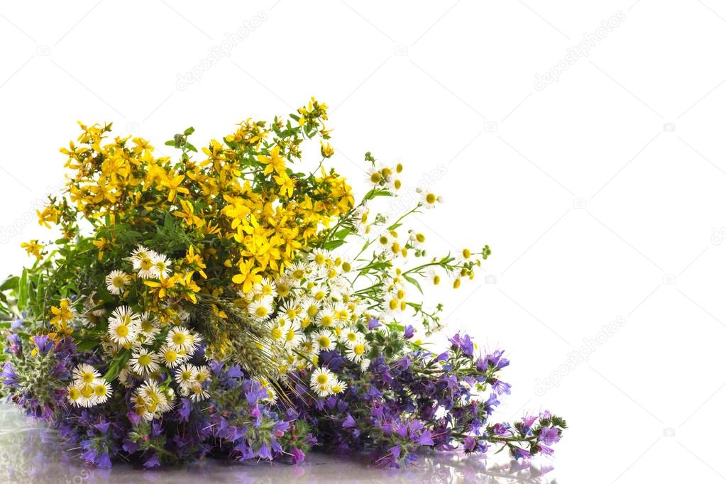 bouquet of summer flowers