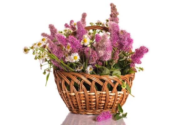 Boeket van mooie bloemen — Stockfoto