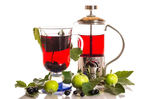 Tea with black currants — Stock Photo, Image