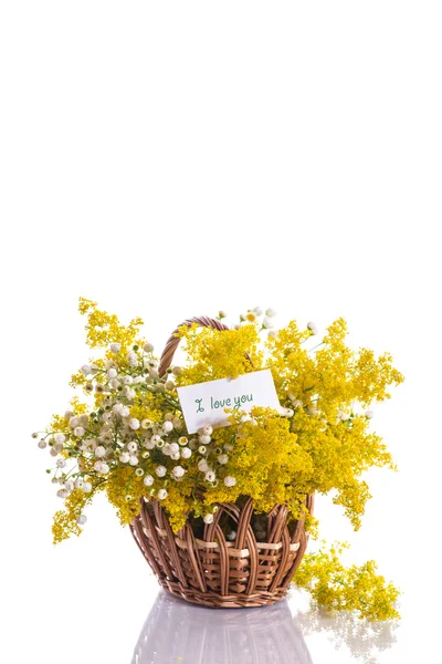 Sommaren bukett av vilda blommor — Stockfoto