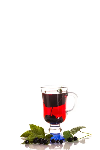 Tee mit schwarzen Johannisbeeren — Stockfoto