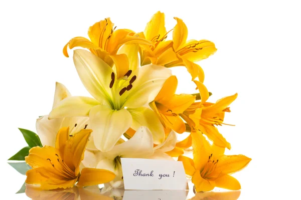 Yellow lily — Stock Photo, Image