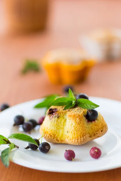 Muffins with currants — Stock Photo, Image
