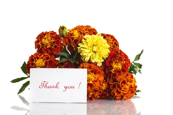 Marigolds — Stock Photo, Image