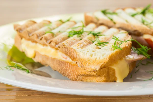 Toast with cheese — Stock Photo, Image