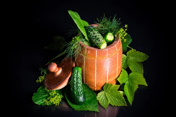 Pickled cucumbers — Stock Photo, Image