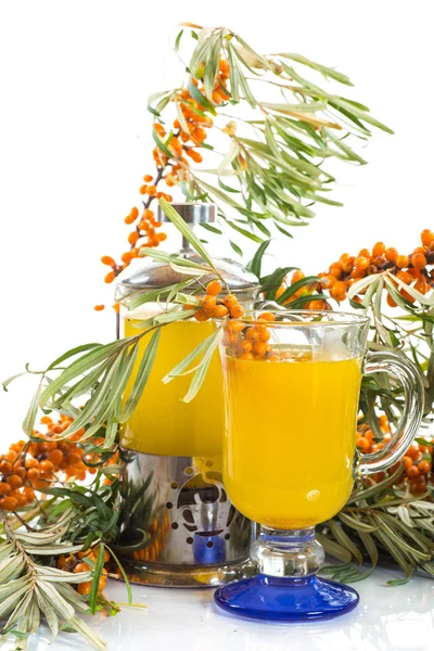 Sea buckthorn tea — Stock Photo, Image