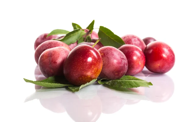 Fresh ripe plum — Stock Photo, Image