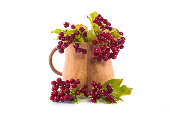 Tea viburnum in a cup — Stock Photo, Image