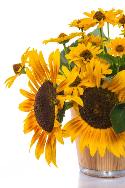 Bouquet of sunflowers — Stock Photo, Image