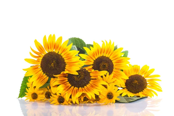 Strauß Sonnenblumen — Stockfoto