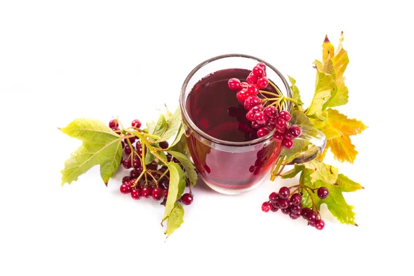 Tee viburnum in einer Tasse — Stockfoto