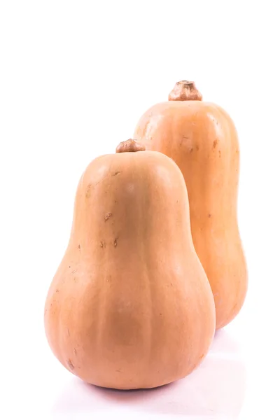 Two ripe pumpkin — Stock Photo, Image