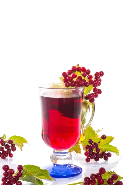 Tea viburnum in a cup — Stock Photo, Image