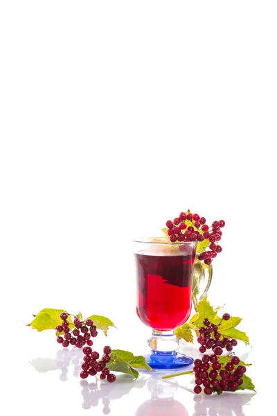 Chá viburnum em uma xícara — Fotografia de Stock