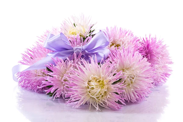 Bouquet de aster — Fotografia de Stock