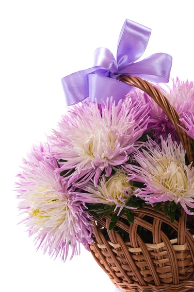 Aster bouquet — Stock Photo, Image