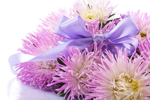 Bouquet de aster — Fotografia de Stock