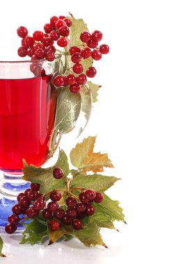 bir fincan çay kartopu