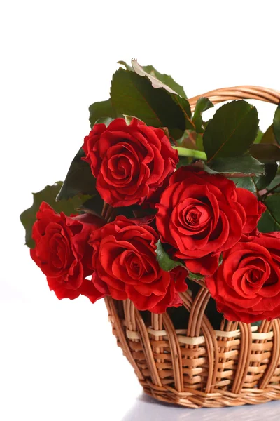 Bouquet di rose rosse — Foto Stock