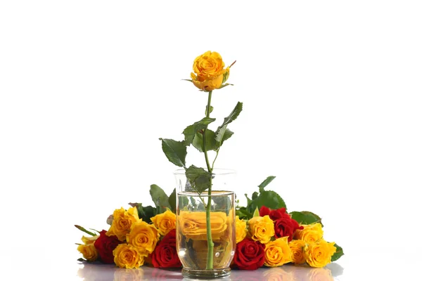Жовті та червоні троянди у вазі — стокове фото