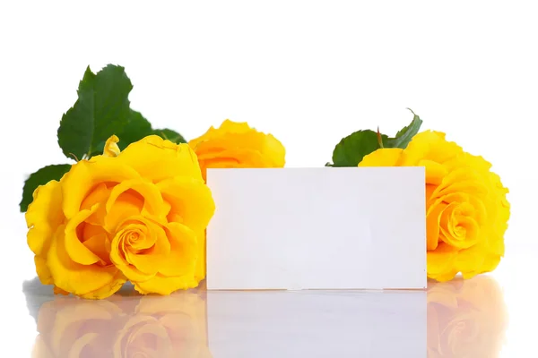 Yellow roses — Stock Photo, Image