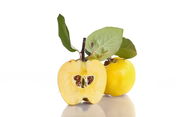 Quince — Stock Photo, Image