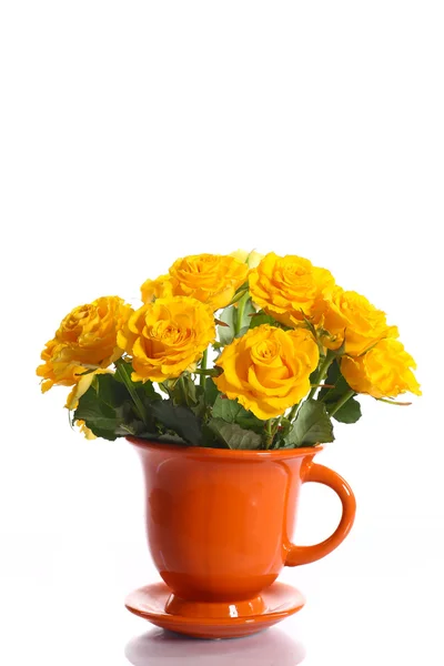 Yellow roses in a pot — Stock Photo, Image